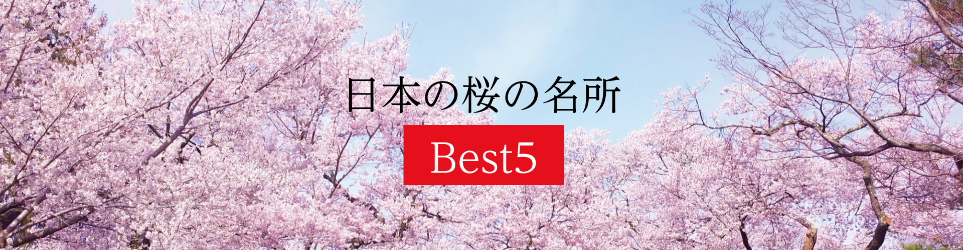 日本の桜の名所 Best5